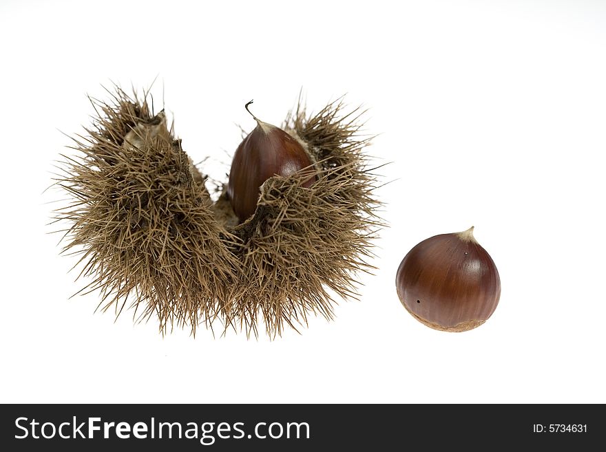 Chestnuts still in their husk with leaves. Chestnuts still in their husk with leaves