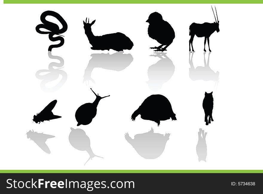 Vector silhouettes of different animals. Vector silhouettes of different animals