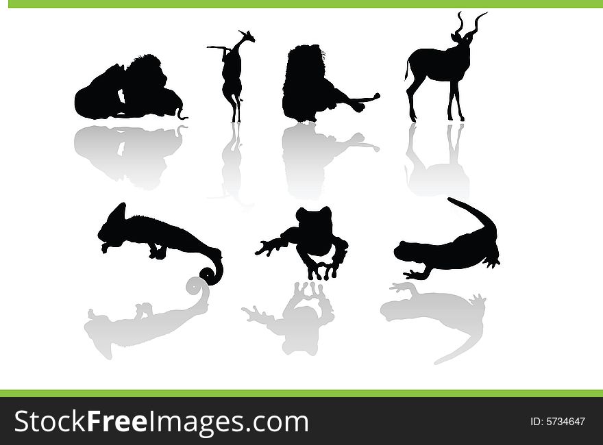 Vector silhouettes of different animals. Vector silhouettes of different animals