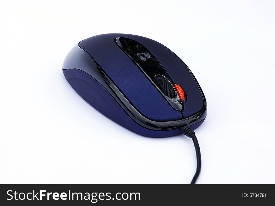 Computer mouse on a white background