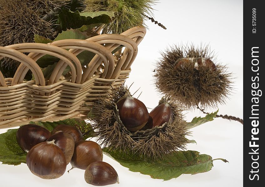 Small basket with chestnuts still in their husk with leaves. Small basket with chestnuts still in their husk with leaves