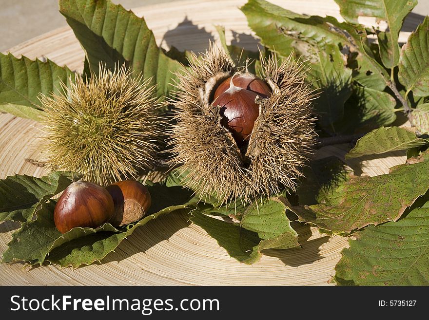 Chestnuts With Husks