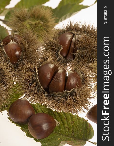 Chestnuts and their husks whit leaves. Chestnuts and their husks whit leaves