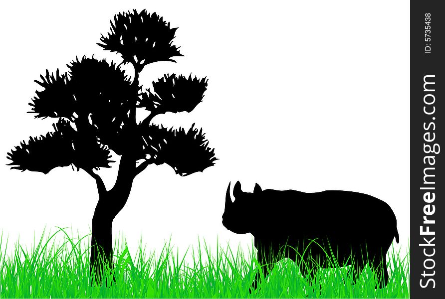 Rhinoceros on the grass illustration