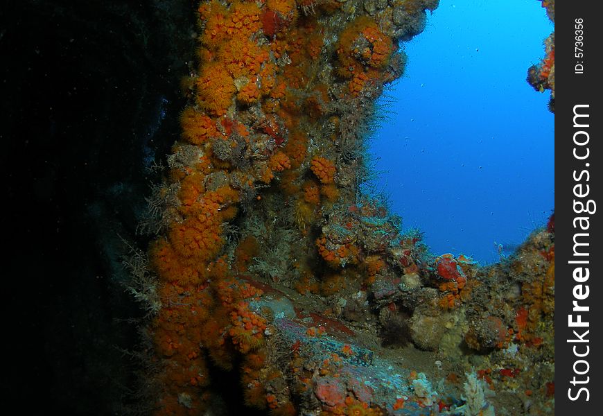 Looking out from inside of an awesome wreck off the coast of south Florida. Looking out from inside of an awesome wreck off the coast of south Florida