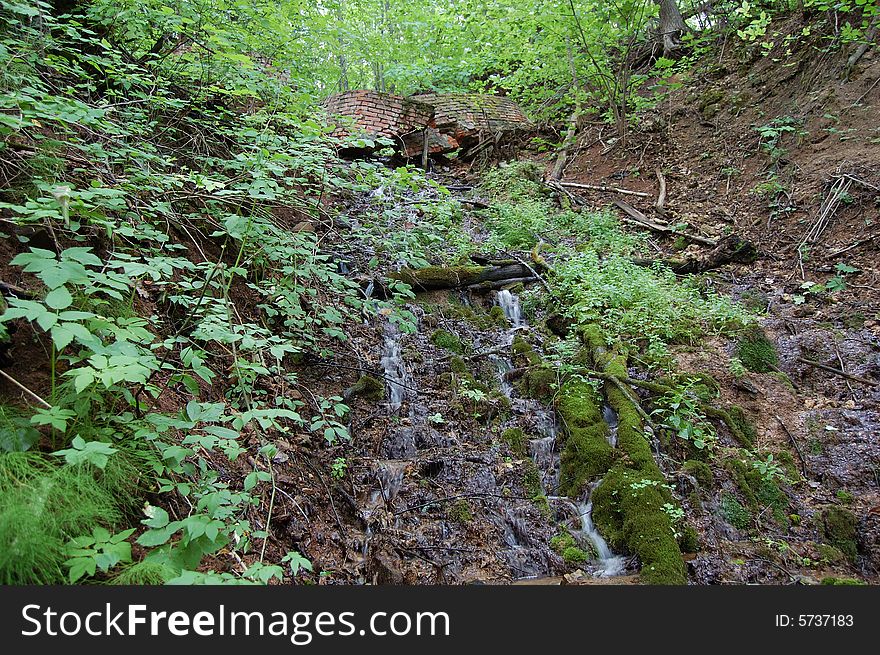 Small wood stream with falls and a moss