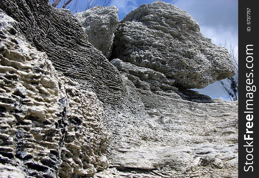 The eroded rock formations in Freeport on Grand Bahama Island, The Bahamas. The eroded rock formations in Freeport on Grand Bahama Island, The Bahamas.