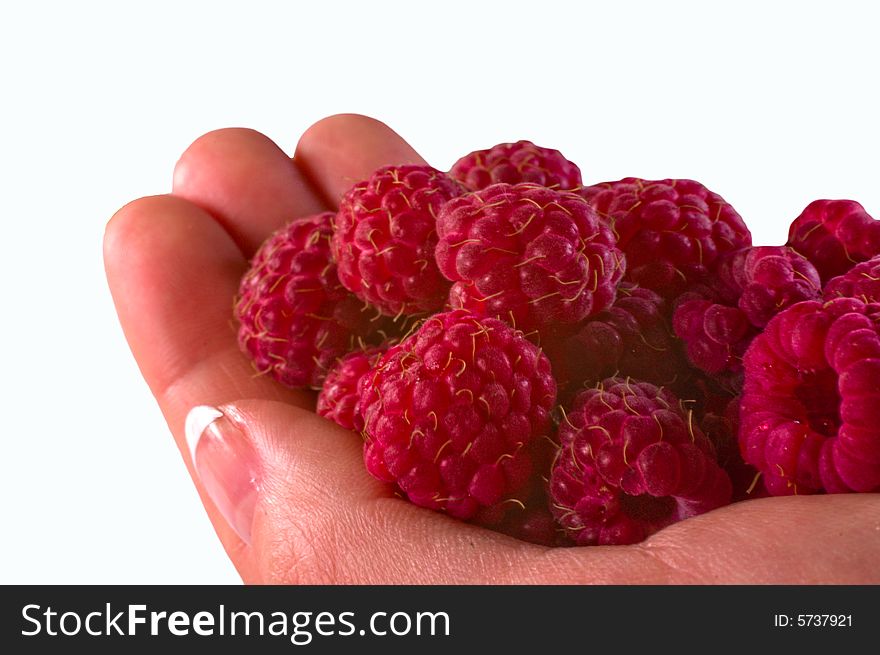 Handfull of beatiful and tasty rasberries. Handfull of beatiful and tasty rasberries