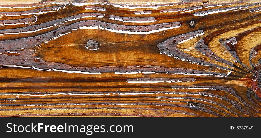 A wet wood plank with unique pattern similar to a fish. A wet wood plank with unique pattern similar to a fish.