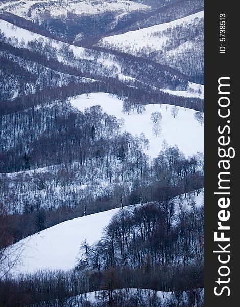 A snowy winter scene with trees. A snowy winter scene with trees