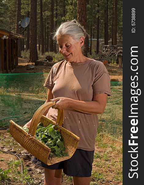 Senior Woman Gardening