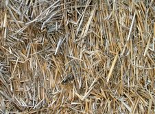 Close Up Of Straw Bales Stock Image Close Up Of Straw Bales Stock Image