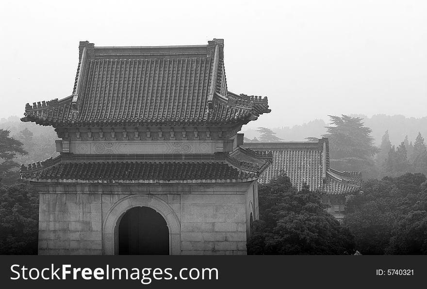 Picture of black and white foggy landscape. Picture of black and white foggy landscape