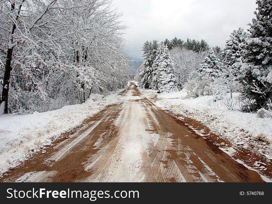 A long country dirt road in the winter season here in Southwest Michigan.  Forest thick and healthy on both sides with trees covered in snow and frost. A long country dirt road in the winter season here in Southwest Michigan.  Forest thick and healthy on both sides with trees covered in snow and frost.