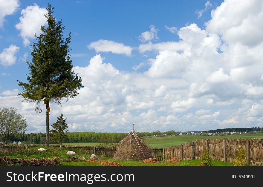 Rural landscape with spruce and cloudy sky
