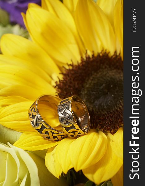 Closeup of wedding rings on yellow sunflower