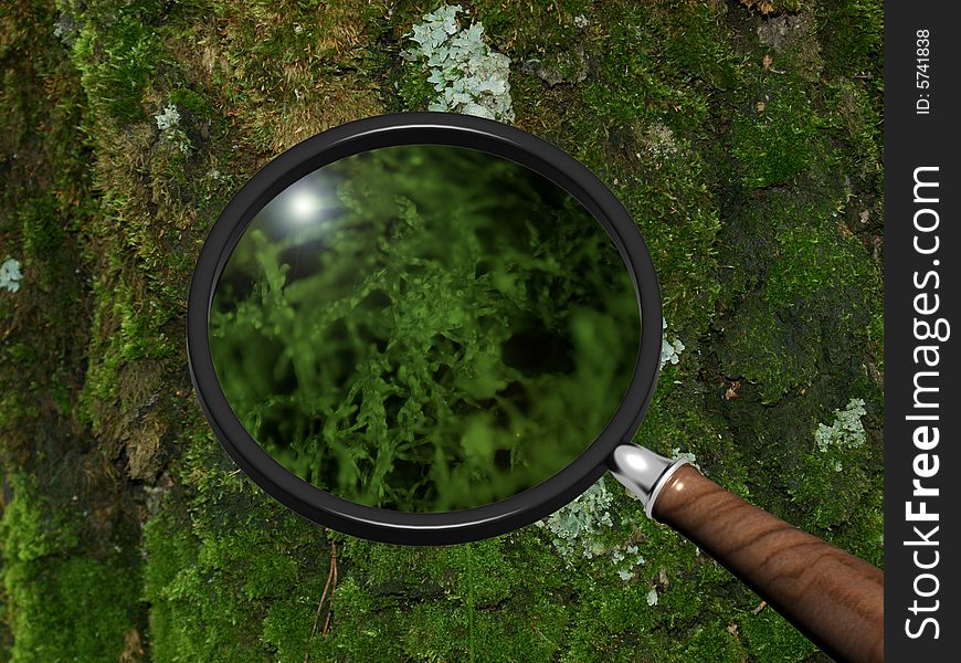 Scene of the nature under magnifying glass. Scene of the nature under magnifying glass
