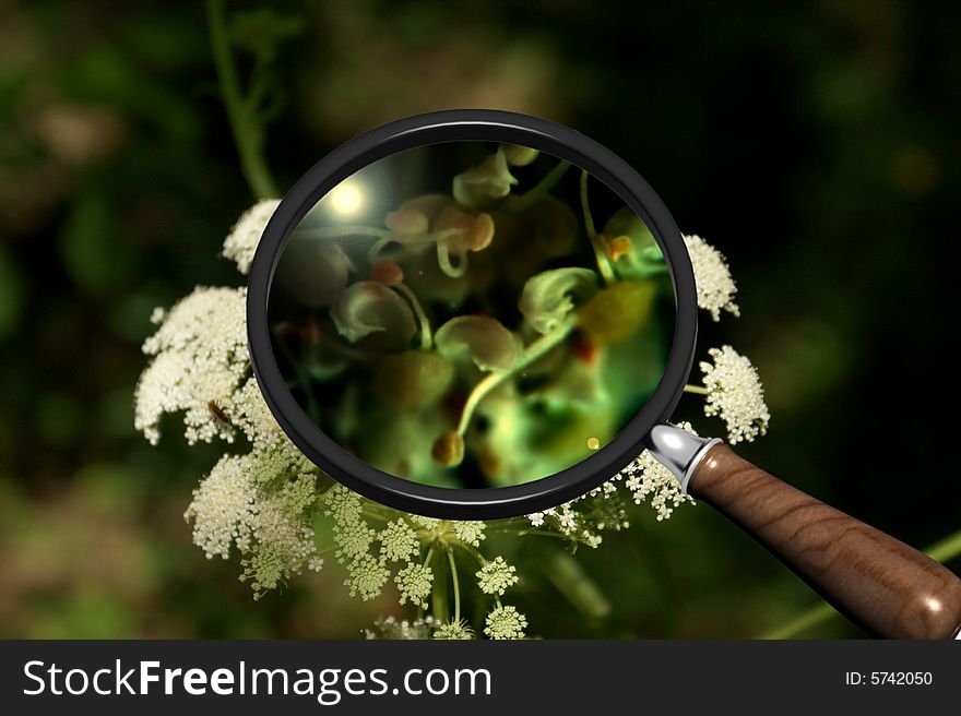 Scene of the nature under magnifying glass. Scene of the nature under magnifying glass
