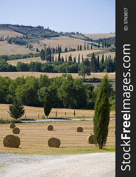 A italian hillside in summer