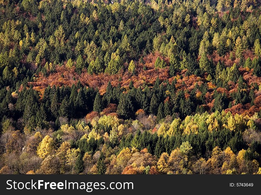 Fall mountains with colorful tree