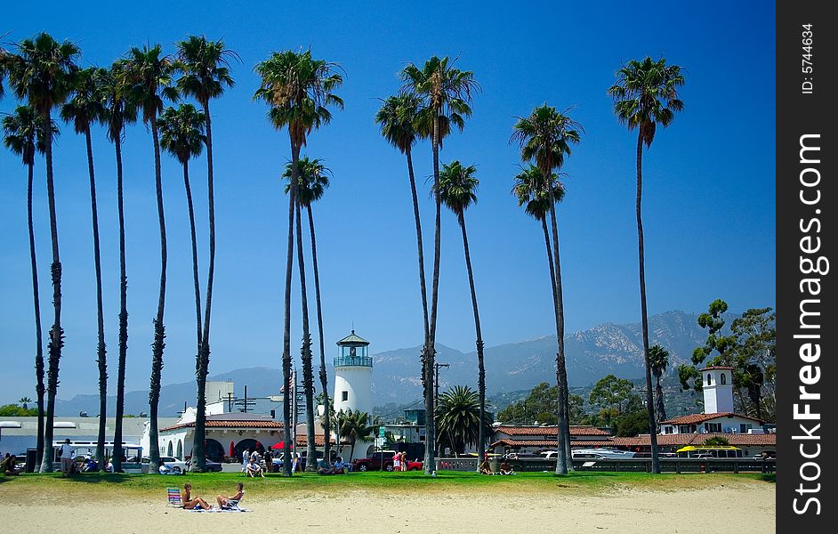 Palms in beach,Santa Babala,a beatiful town. Palms in beach,Santa Babala,a beatiful town