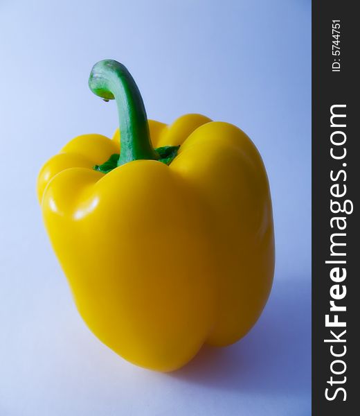 Yellow pepper on the blue background