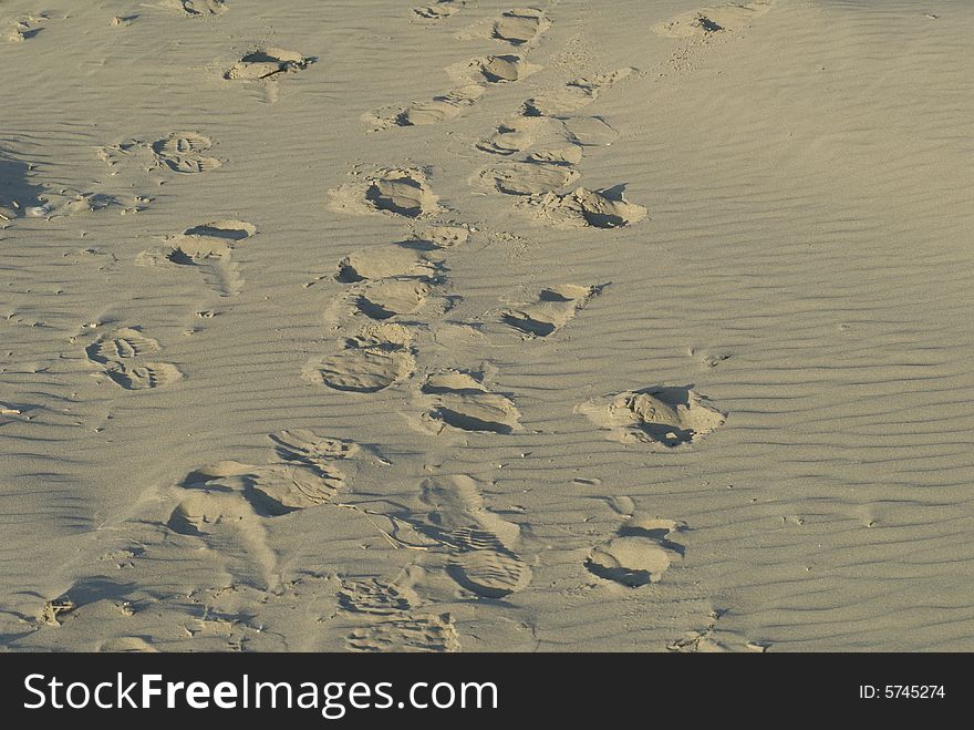 Footsteps in the sand in the evening sun