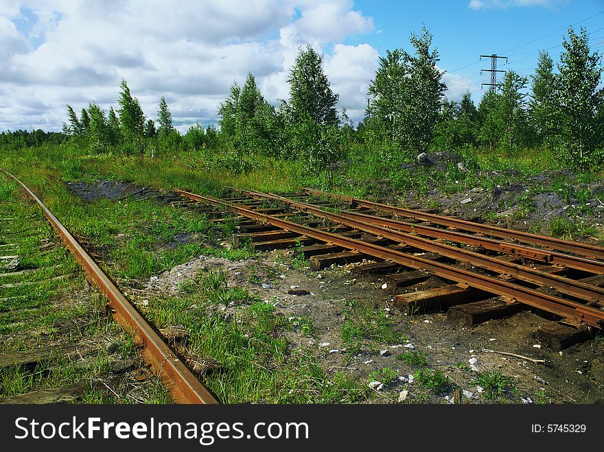 Rusty rails among a green wood.