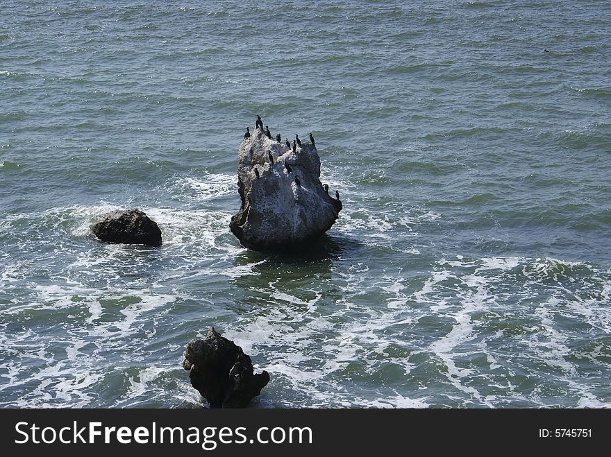 Cormorants on the rock in the Azov sea, Crimea, Ukraine. Cormorants on the rock in the Azov sea, Crimea, Ukraine.