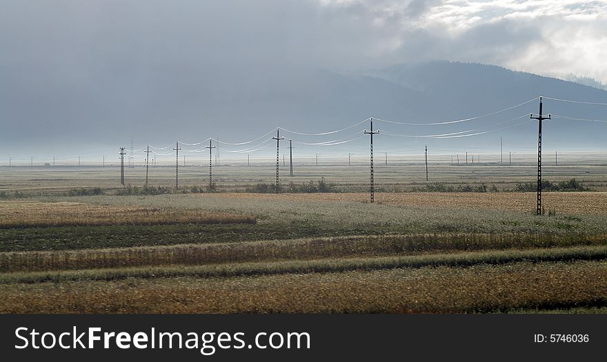 Line Poles In Misty Field
