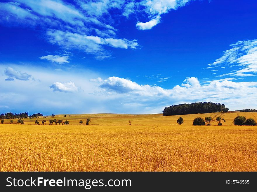 Beautiful country landscape in summer