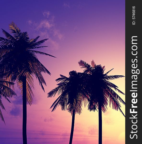 Beautiful sunset with palms. 3d image