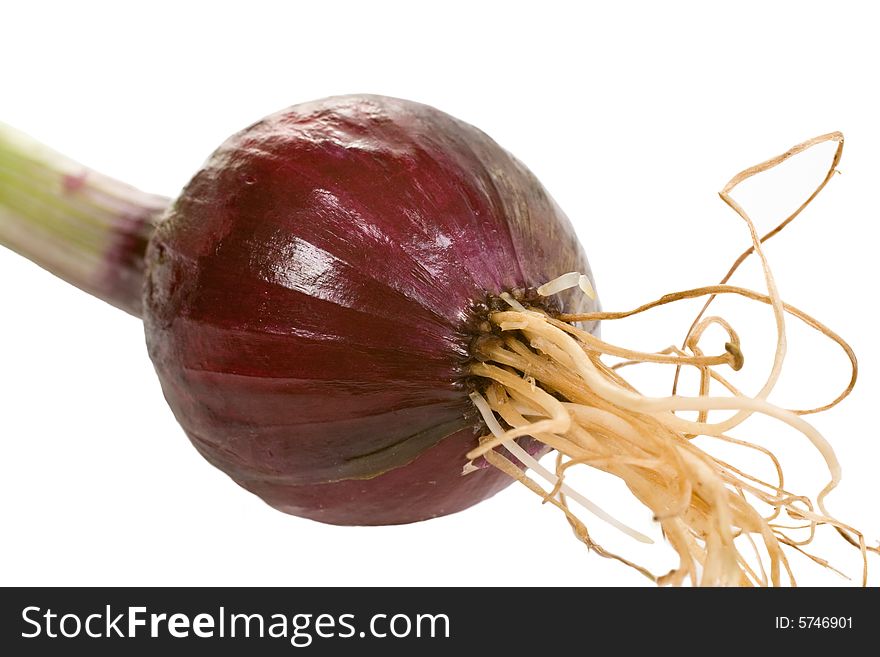 Fresh small red onion isolated on a white background