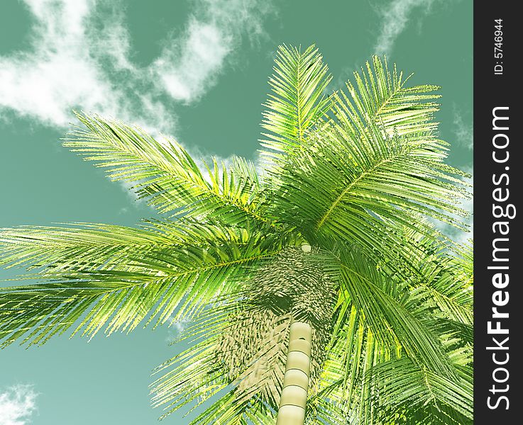 Beautiful cloudscape with palm. 3d image
