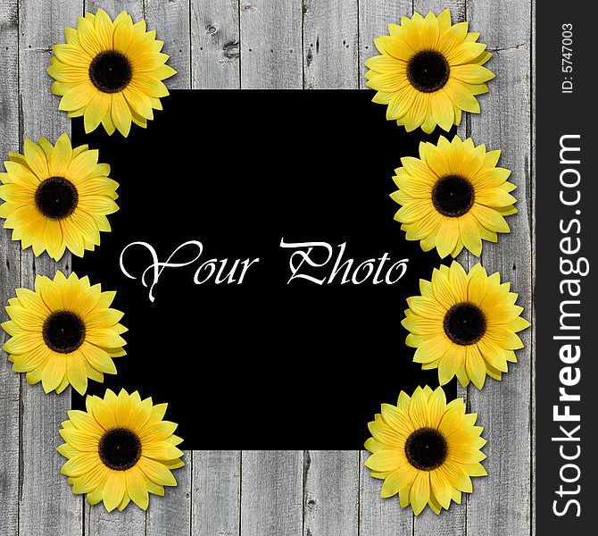 Frame For Photo With Sunflowers