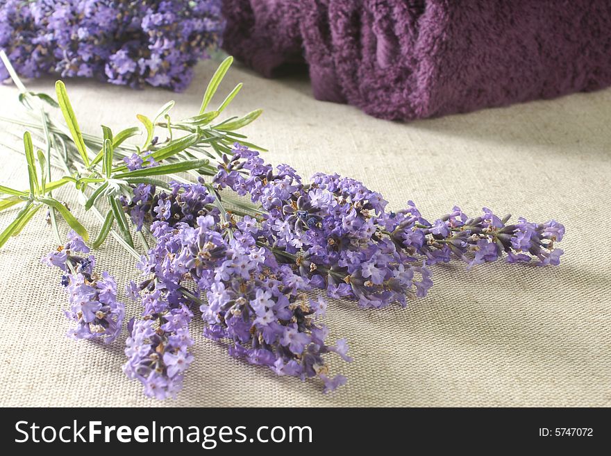 Bunch of lavender with bath towels, selected focus.