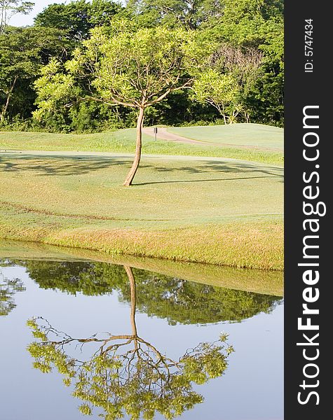 A lone tree on a golf course by a lake reflected in water. A lone tree on a golf course by a lake reflected in water