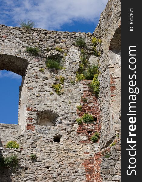 Old Ruines With Grass