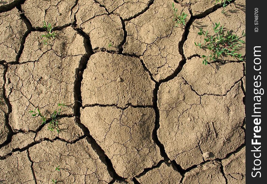 Cracked ground because of hot sun and no water