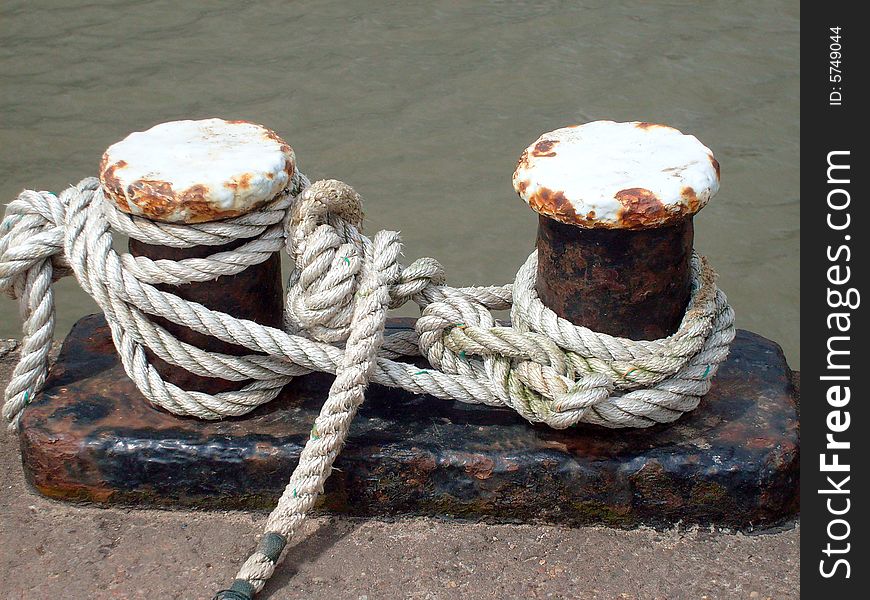 Knots In Harbor