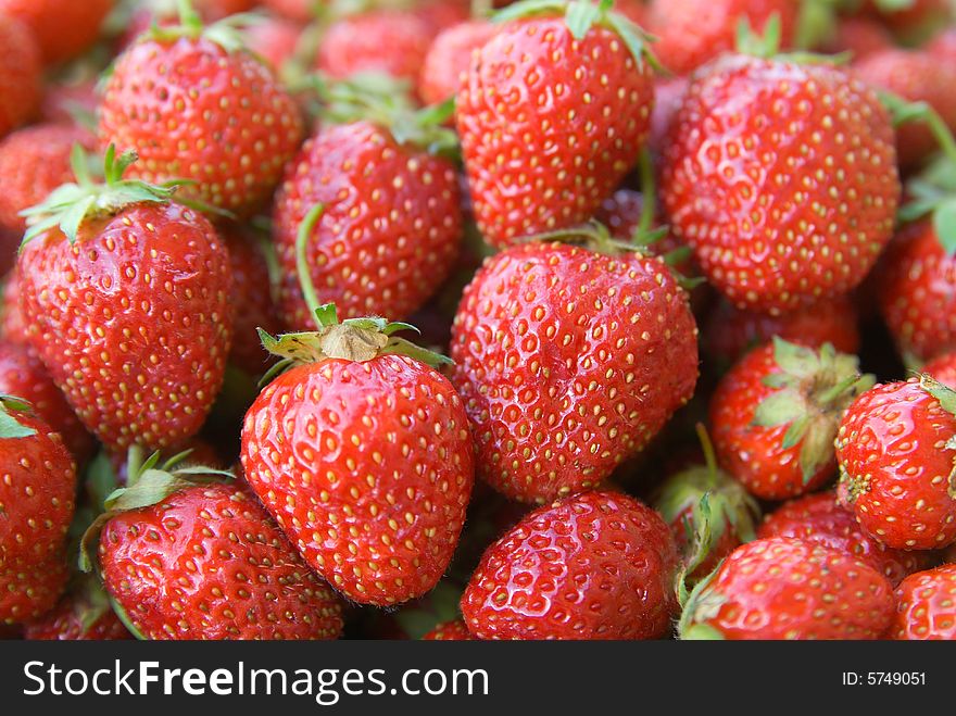 Ripe berries of the strawberries