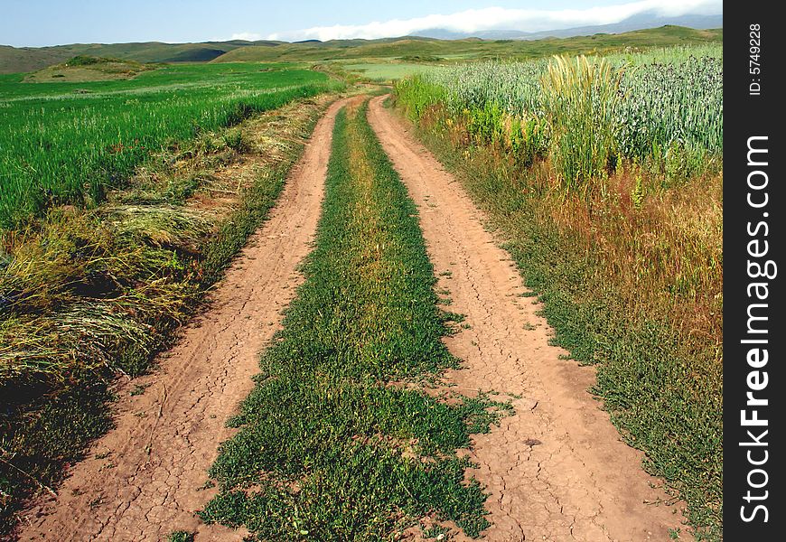 Rural scene with unpaved road