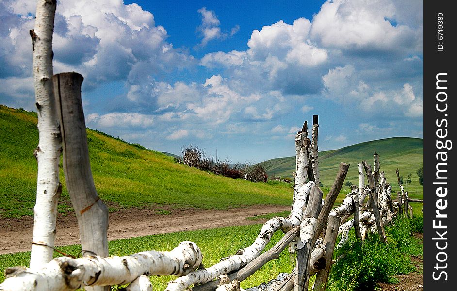 Paling in grassland with blue sky and clouds,the Inner Mongolia Autonomous Region,china