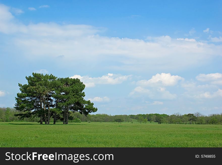 Summer landscape - green fields, the blue sky