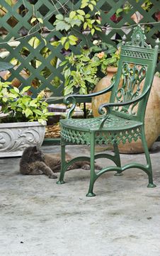 Cat With Green Chair Stock Image