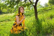 Girl And Dandelion Stock Images Girl And Dandelion Stock Images