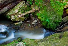 Rushing Creek Stock Photography