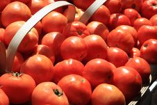 Tomatoes Stock Images Tomatoes Stock Images