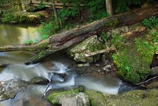 Creek Royalty Free Stock Photos