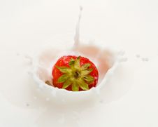 Strawberry Splash Stock Photography